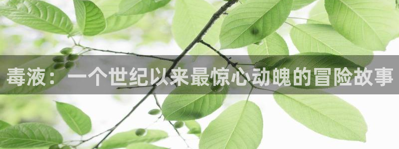 樱桃茄子视频