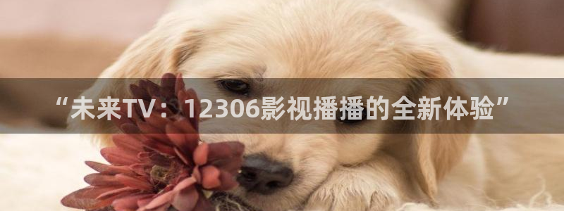 樱桃茄子视频
