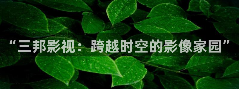 小优视频茄子视频