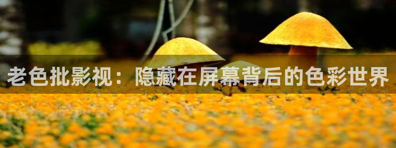 樱花视频茄子视频