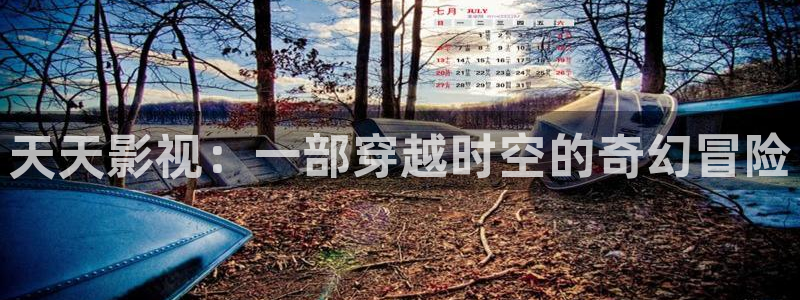 茄子视频了