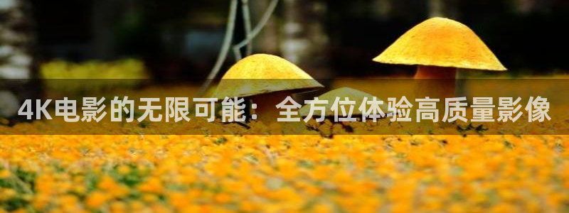 茄子视频 magnet