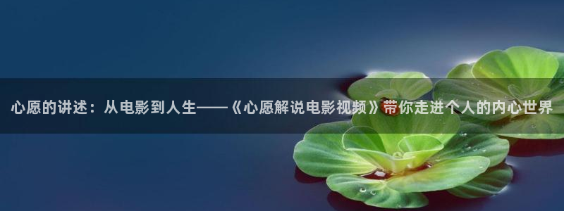 小优视频茄子视频