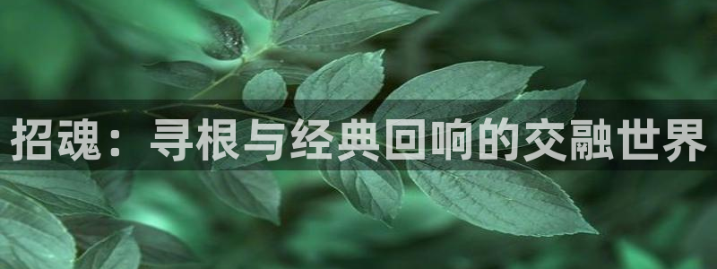 大茄子视频