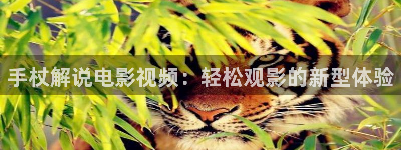 茄子视频 magnet