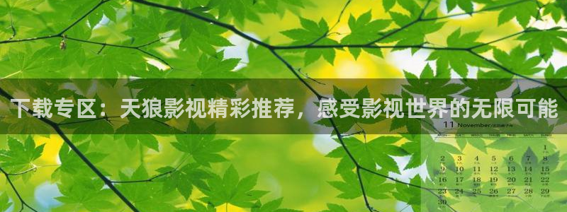 茄子视频a