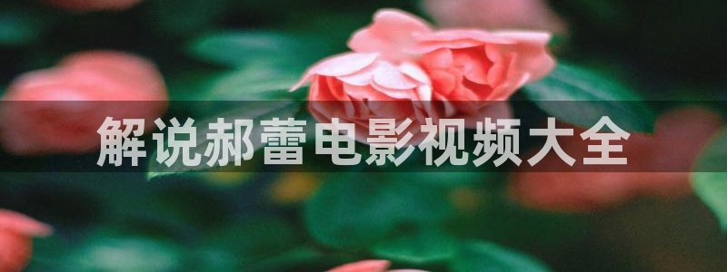 樱花视频茄子视频