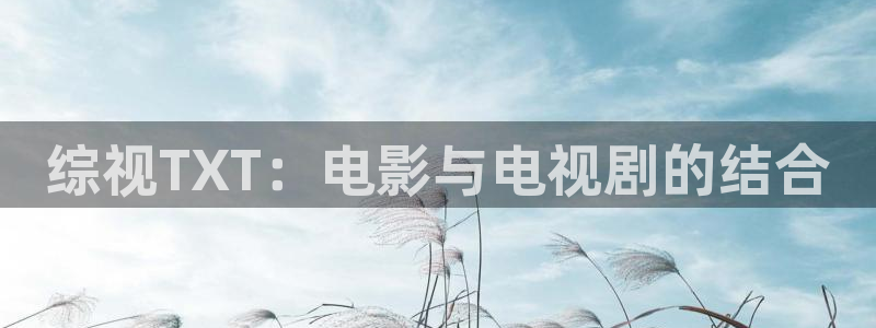 四虎茄子视频