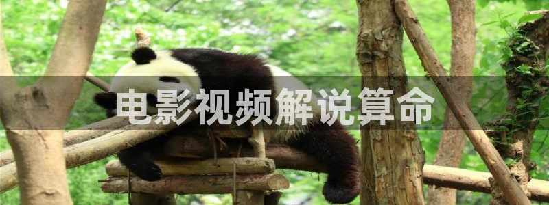 樱花视频茄子视频
